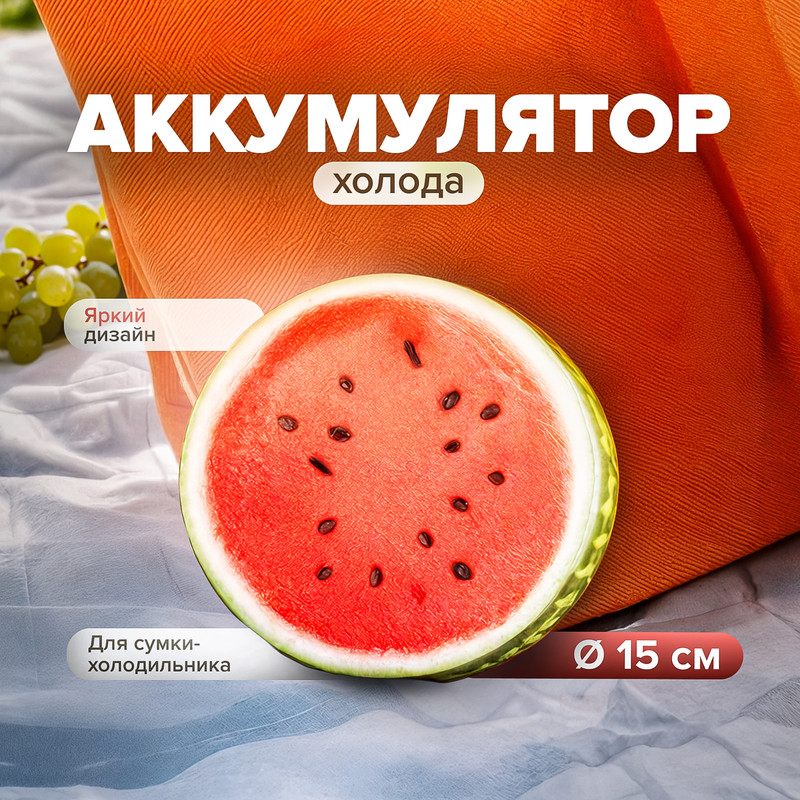 Аккумулятор холода, BBQ, 15 см, в ассортименте