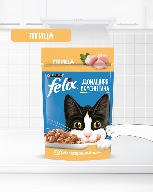 Влажный корм для взрослых кошек «Домашняя вкуснятина», FELIX, с птицей, 75 г