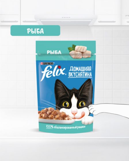 Влажный корм для взрослых кошек «Домашняя вкуснятина», FELIX, с рыбой 75 г