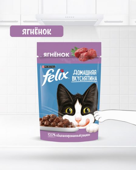 Влажный корм для взрослых кошек «Домашняя вкуснятина», FELIX, с ягнёнком, 75 г