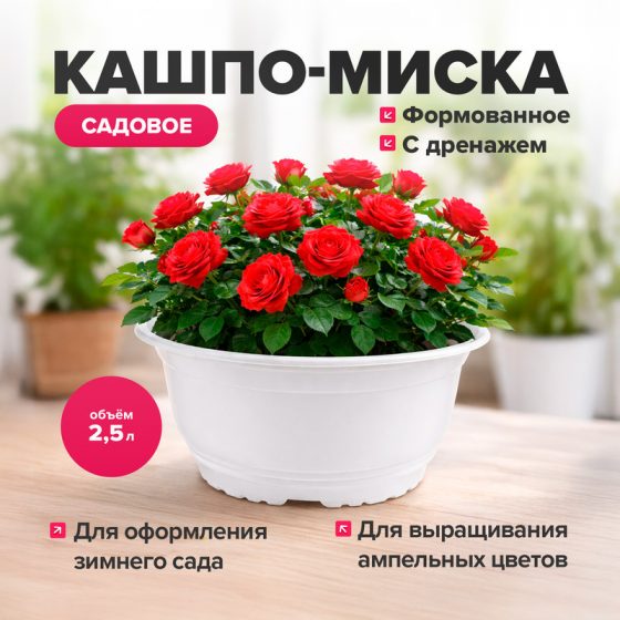 Кашпо-миска садовая, 2,5 л, в ассортименте