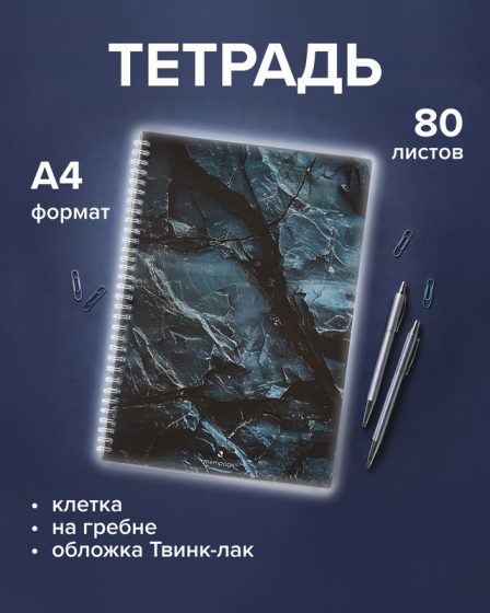 Тетрадь на пружине, А4, 80 л, в ассортименте