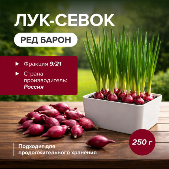 Лук-севок «Ред Барон», 250 г