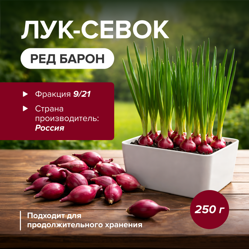 Лук-севок «Ред Барон», 250 г