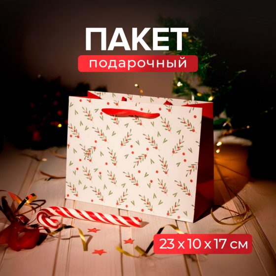 Пакет подарочный, Party, 23х17х10 см, в ассортименте