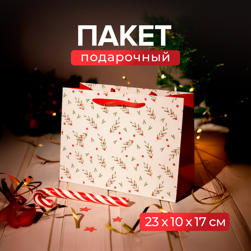 Пакет подарочный, Party, 23х17х10 см, в ассортименте