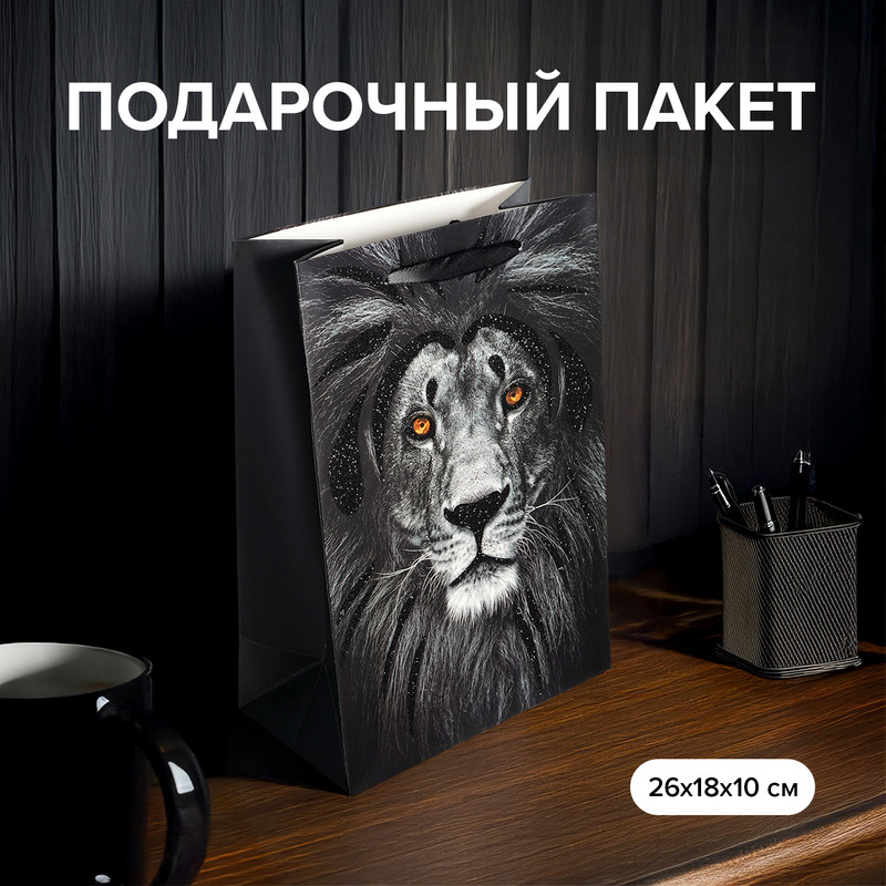Пакет подарочный, Men’s Direction, 26х18х10 см, в ассортименте