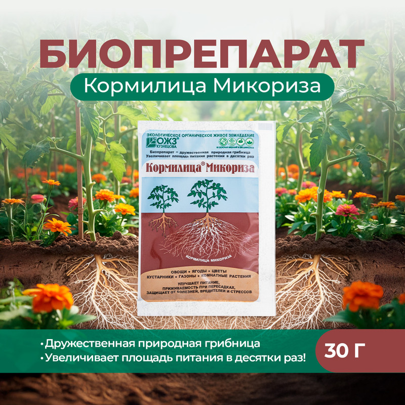 Биопрепарат «Кормилица Микориза», ОЖЗ Кузнецова, 30 г