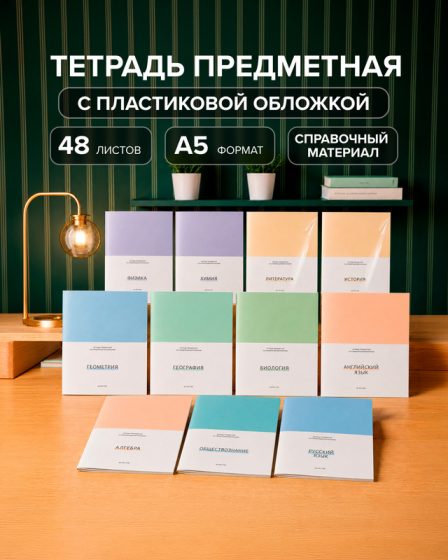 Тетрадь предметная со справочным материалом, 48 листов, пластиковая обложка, в ассортименте