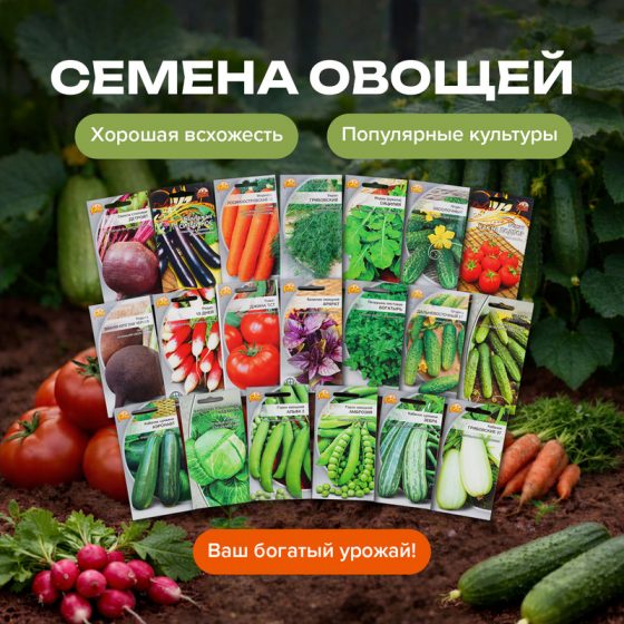 Семена овощей, в ассортименте