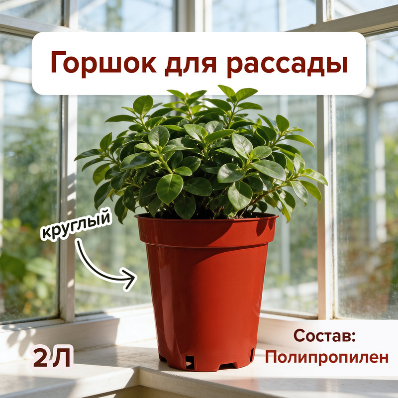 Горшок круглый для рассады, 2 л, в ассортименте