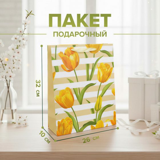 Пакет подарочный, Party, 26х10х32 см, в ассортименте