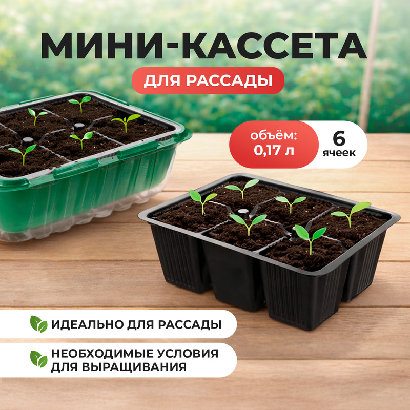 Мини-кассета для рассады, 178х130х50 мм, 0,17 л, 6 ячеек