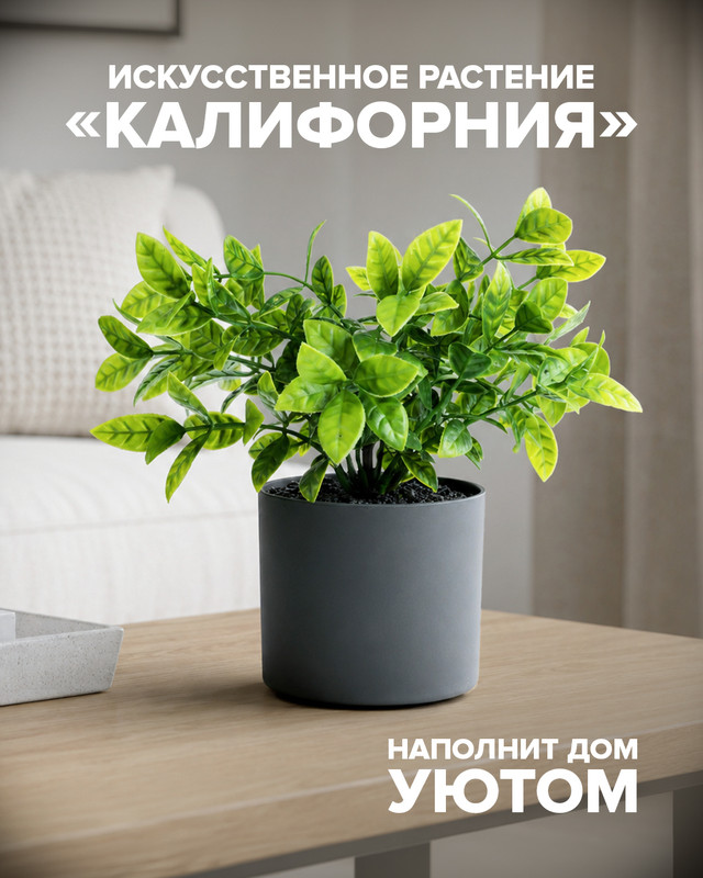 Искусственное растение «Калифорния», в ассортименте