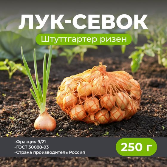 Лук-севок «Штуттгартер ризен», 250 г